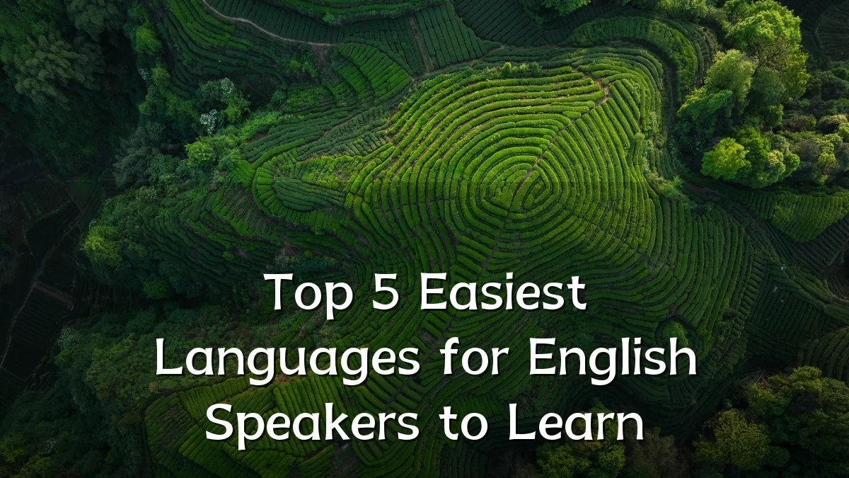 Top 5 Easiest Languages for English Speakers to Learn