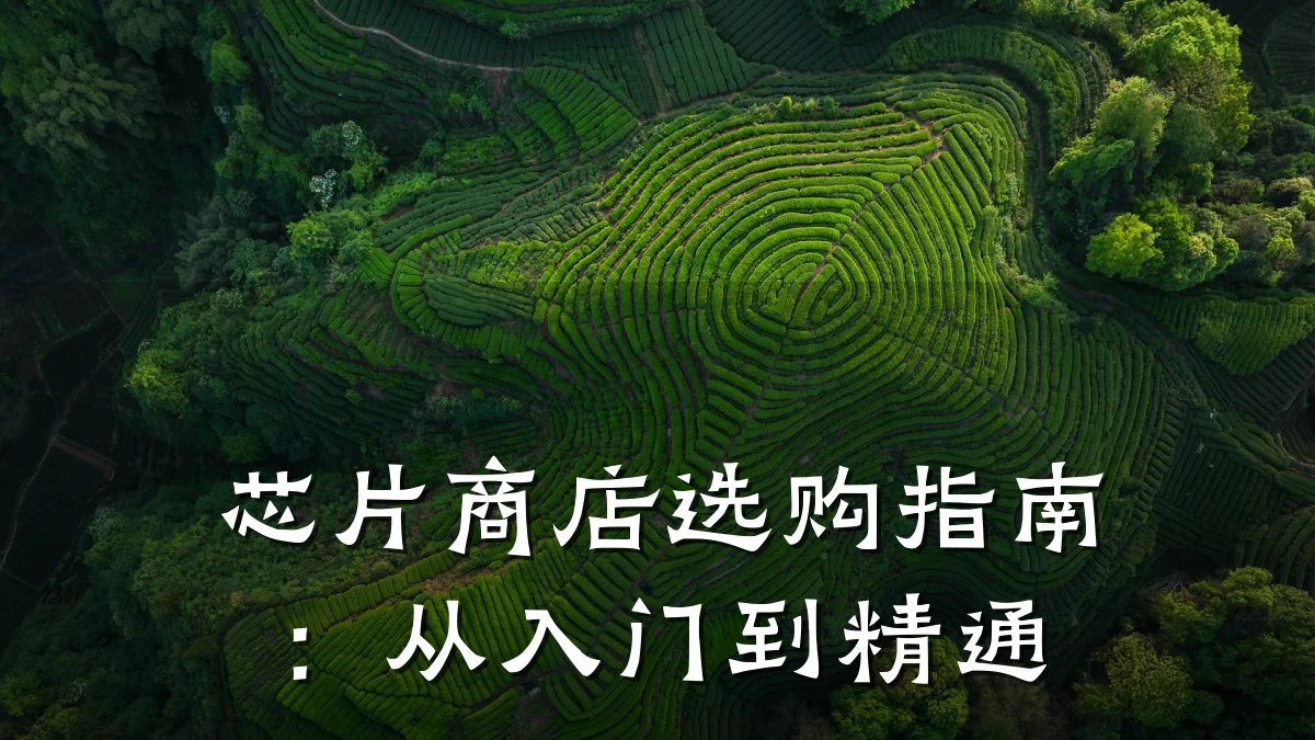 芯片商店选购指南:从入门到精通