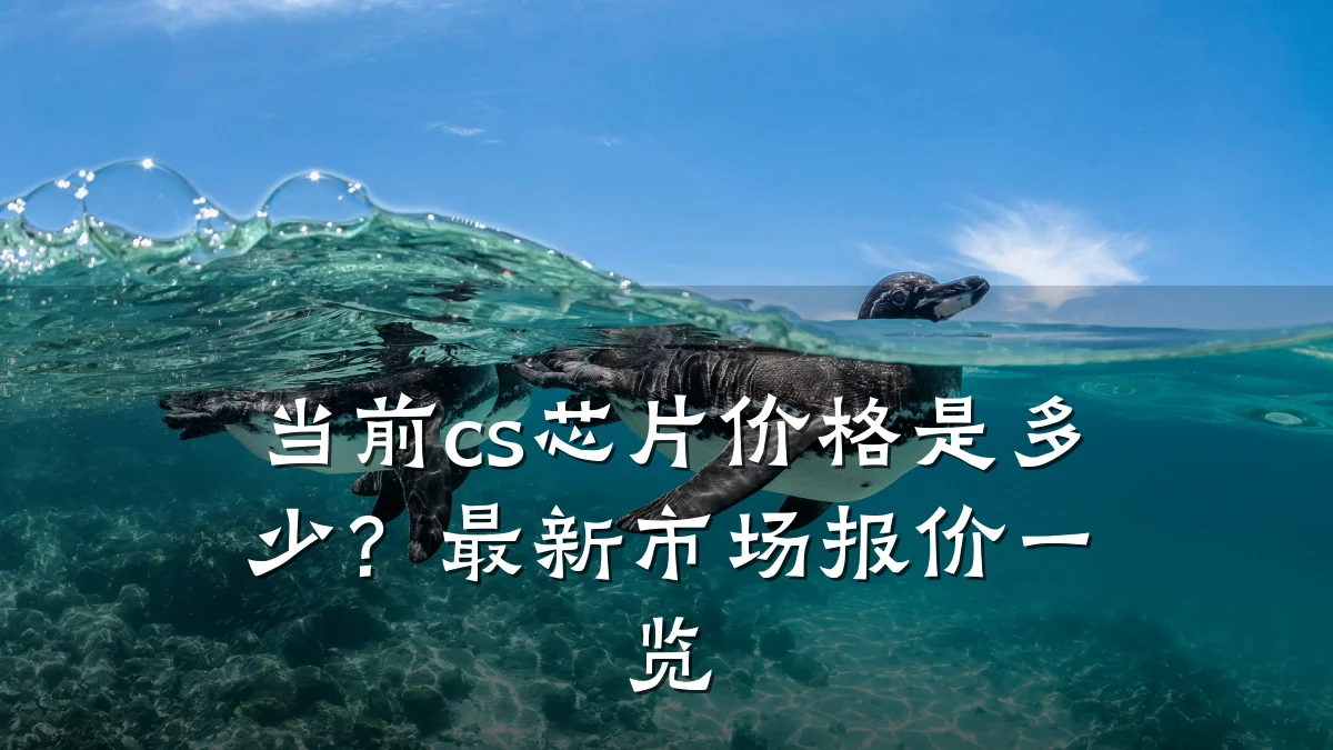 当前cs芯片价格是多少?最新市场报价一览