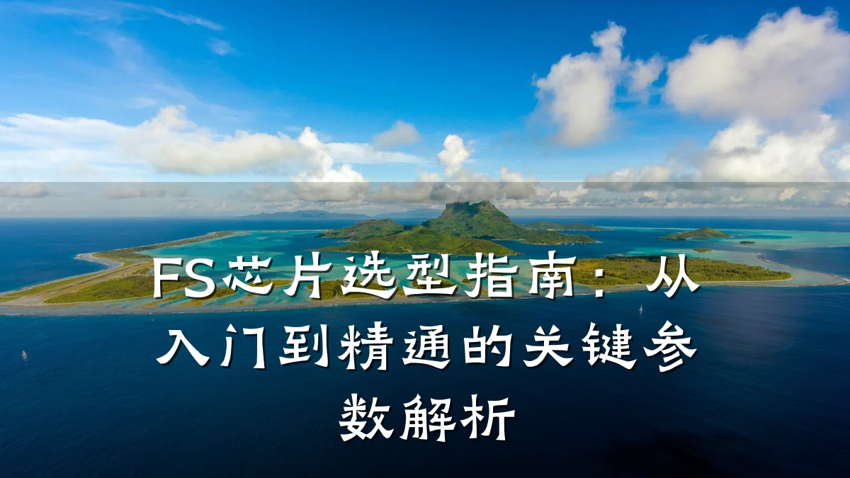 FS芯片选型指南:从入门到精通的关键参数解析