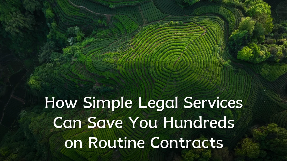 How Simple Legal Services Can Save You Hundreds on Routine Contracts