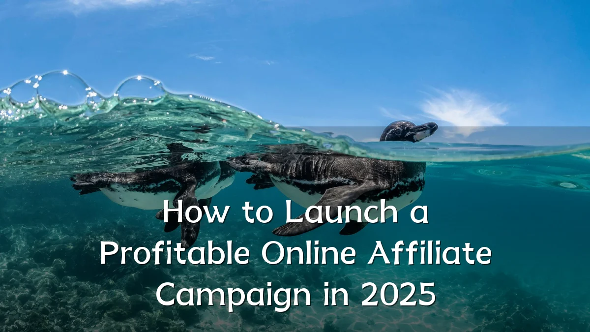 How to Launch a Profitable Online Affiliate Campaign in 2025