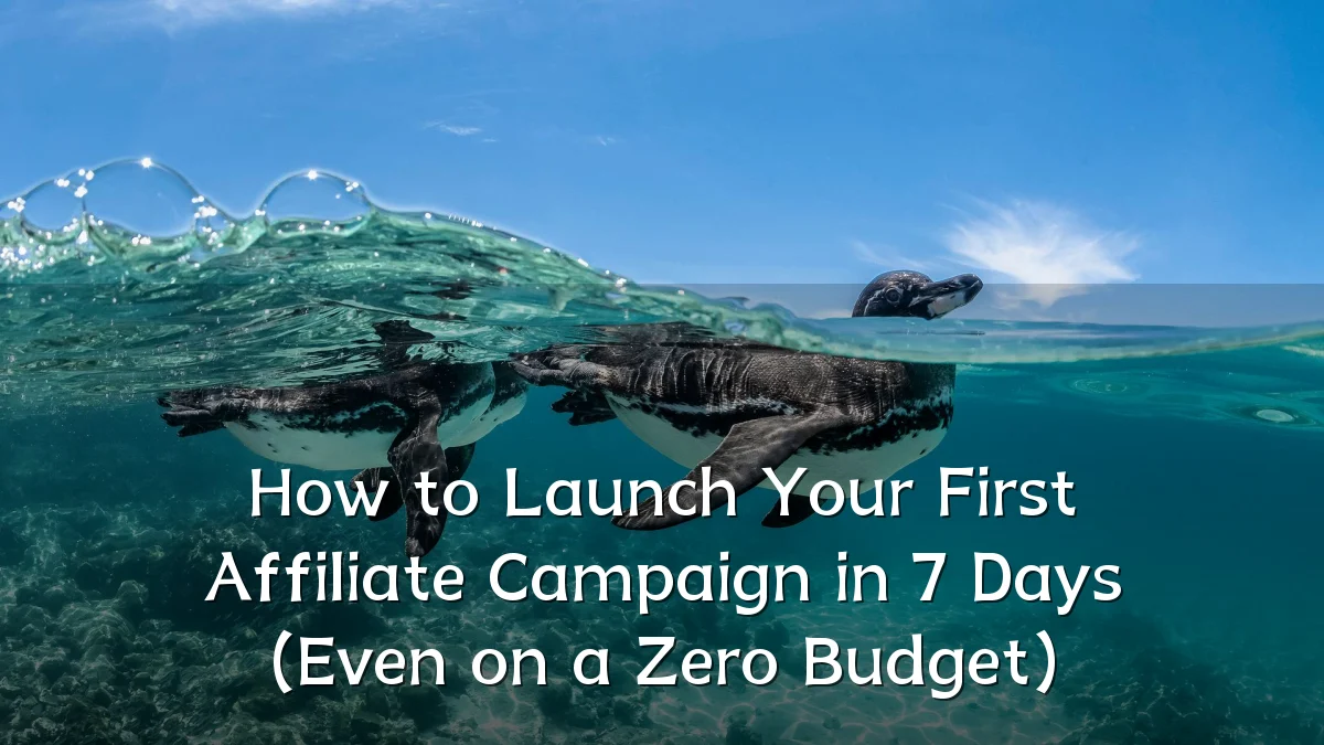 How to Launch Your First Affiliate Campaign in 7 Days (Even on a Zero Budget)