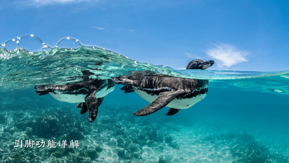 引脚功能详解