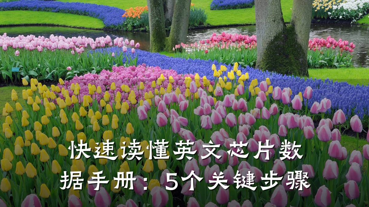 快速读懂英文芯片数据手册:5个关键步骤