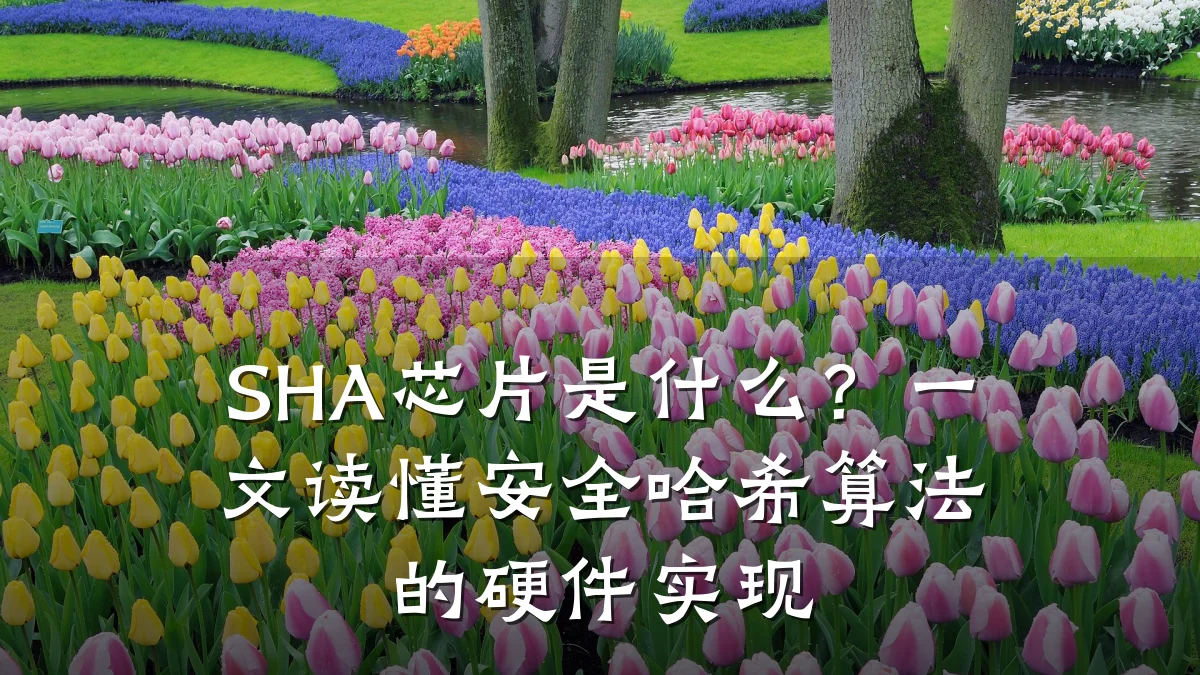 SHA芯片是什么?一文读懂安全哈希算法的硬件实现