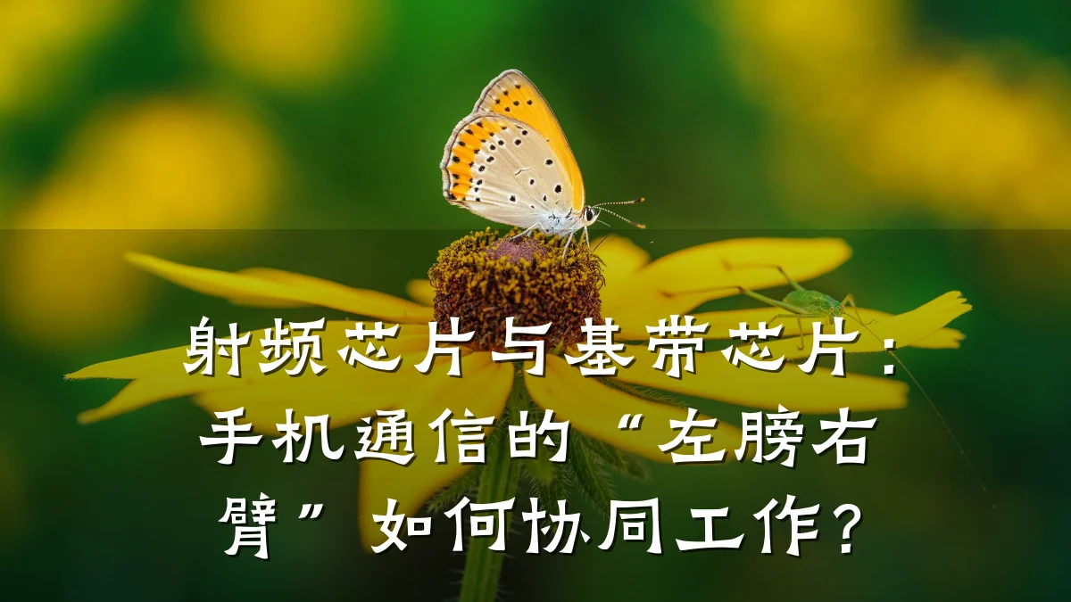 射频芯片与基带芯片:手机通信的“左膀右臂”如何协同工作?