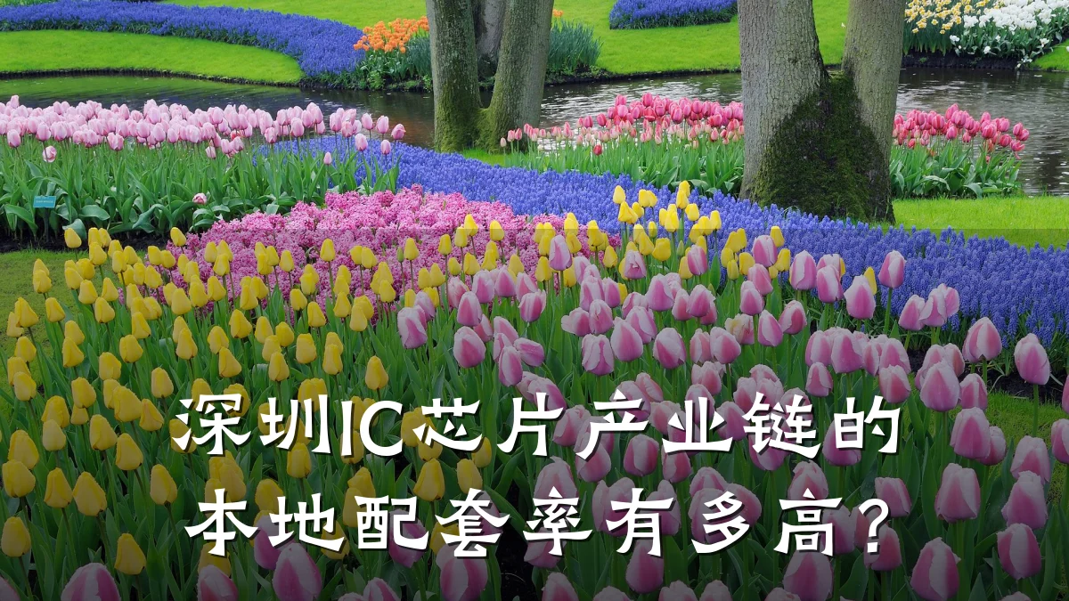 深圳IC芯片产业链的本地配套率有多高?
