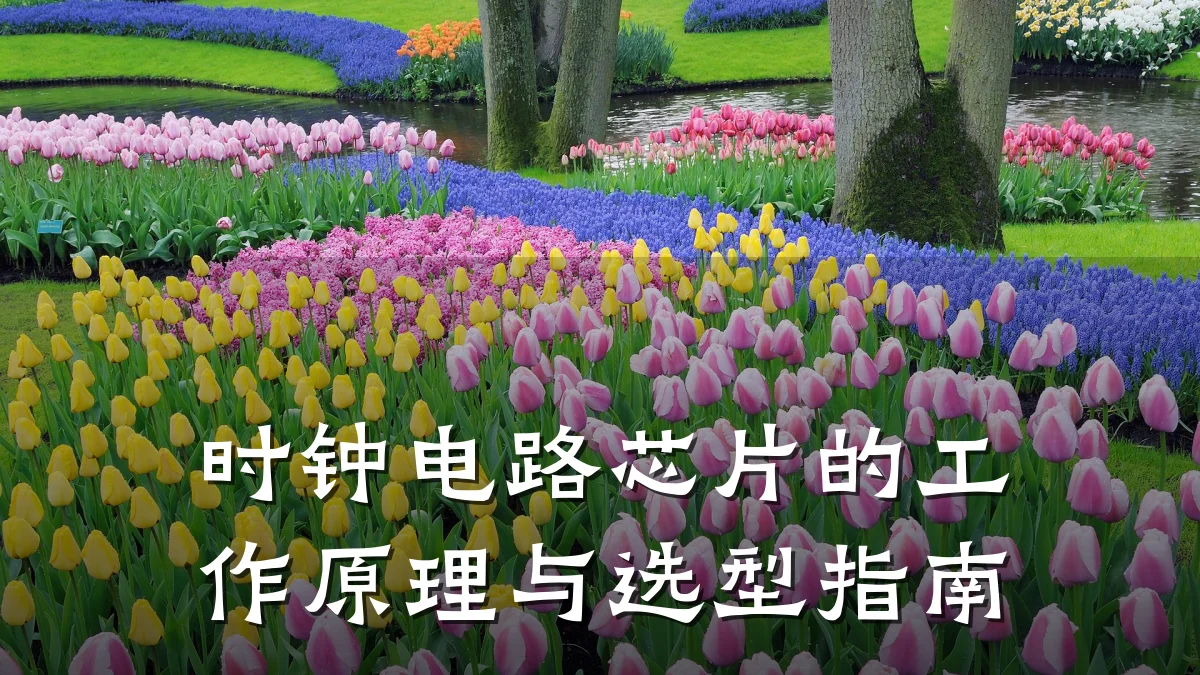 时钟电路芯片的工作原理与选型指南