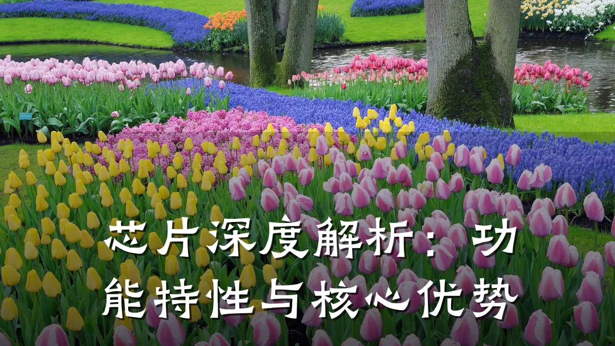 芯片深度解析:功能特性与核心优势