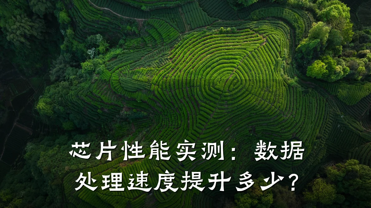 芯片性能实测:数据处理速度提升多少?