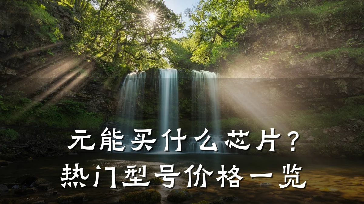 元能买什么芯片?热门型号价格一览
