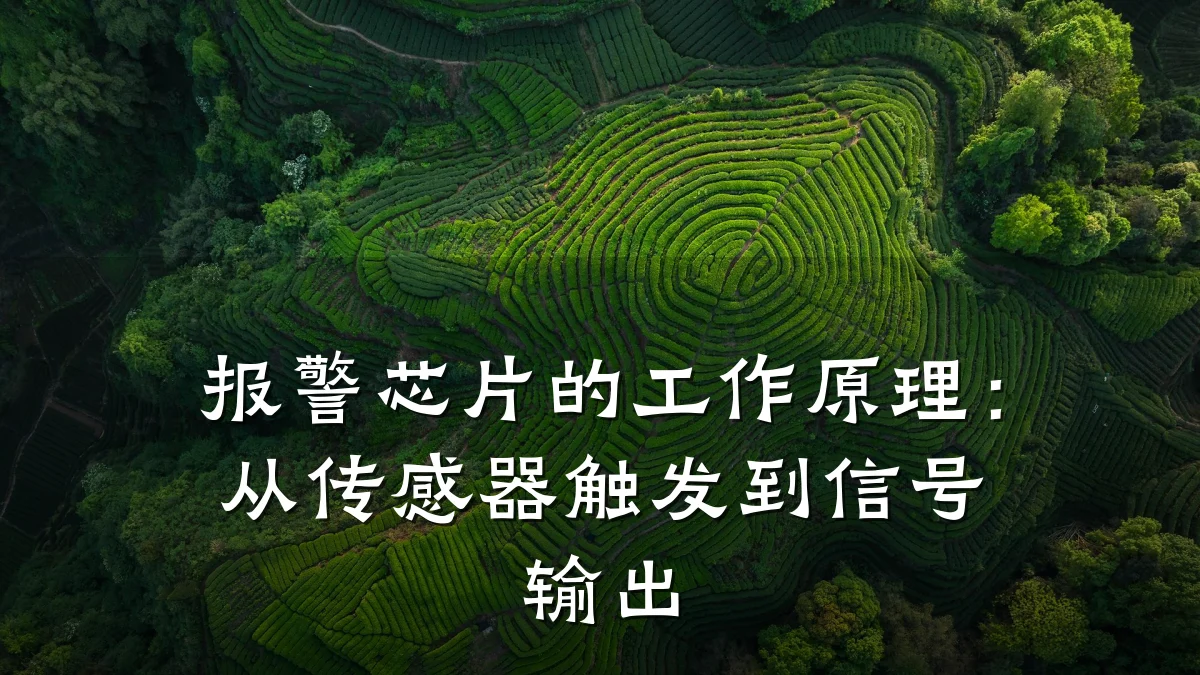 报警芯片的工作原理:从传感器触发到信号输出