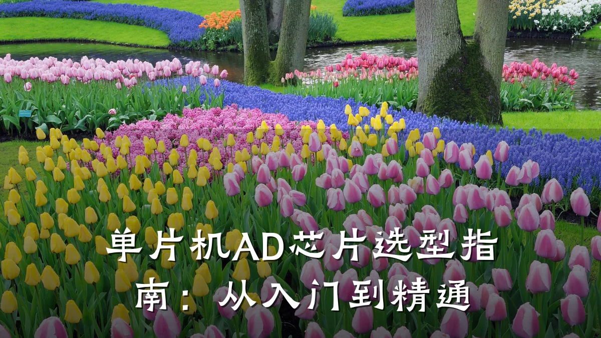 单片机AD芯片选型指南:从入门到精通