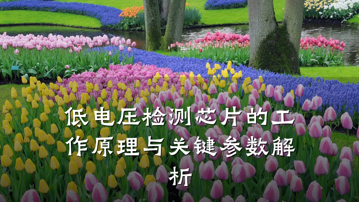 低电压检测芯片的工作原理与关键参数解析