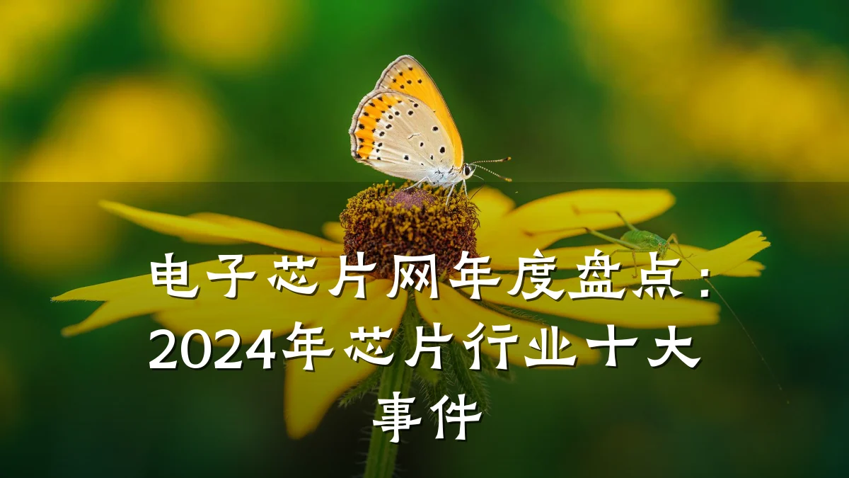 电子芯片网年度盘点：2024年芯片行业十大事件
