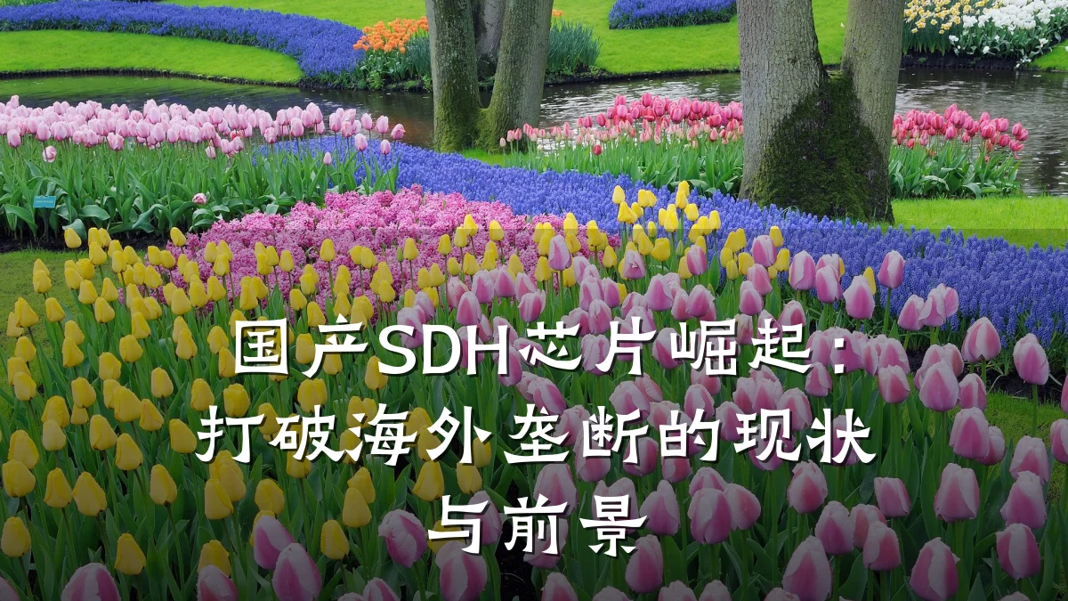 国产SDH芯片崛起：打破海外垄断的现状与前景