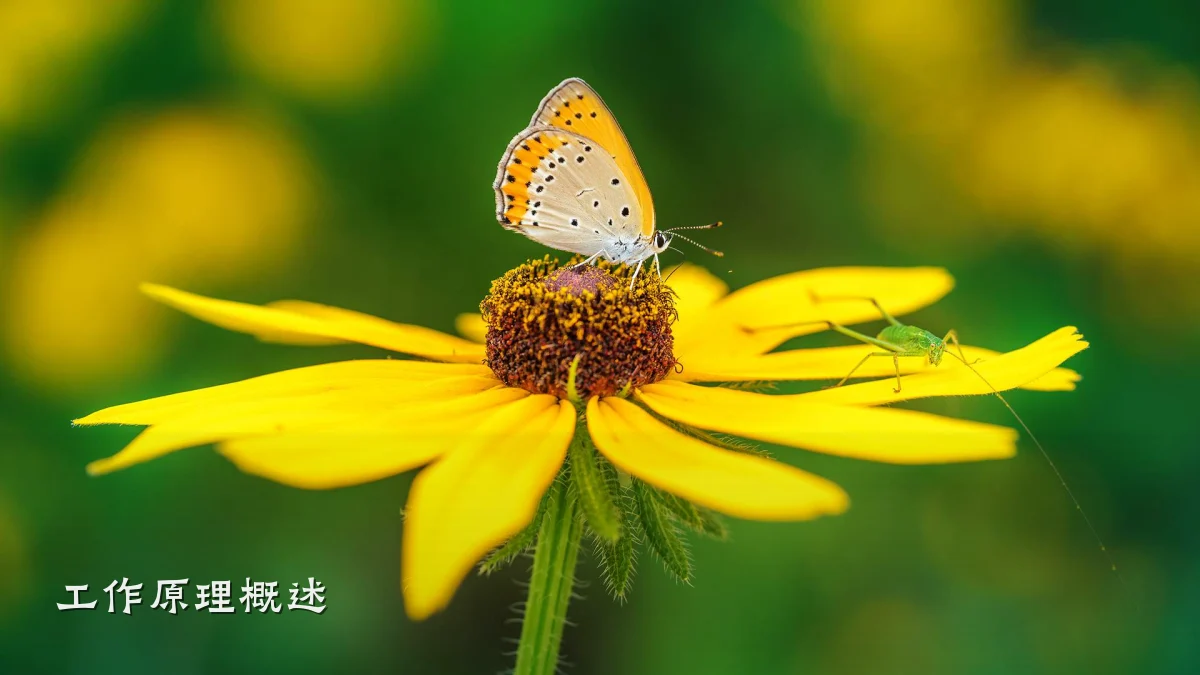 工作原理概述