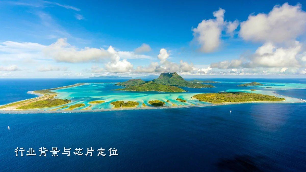 行业背景与芯片定位