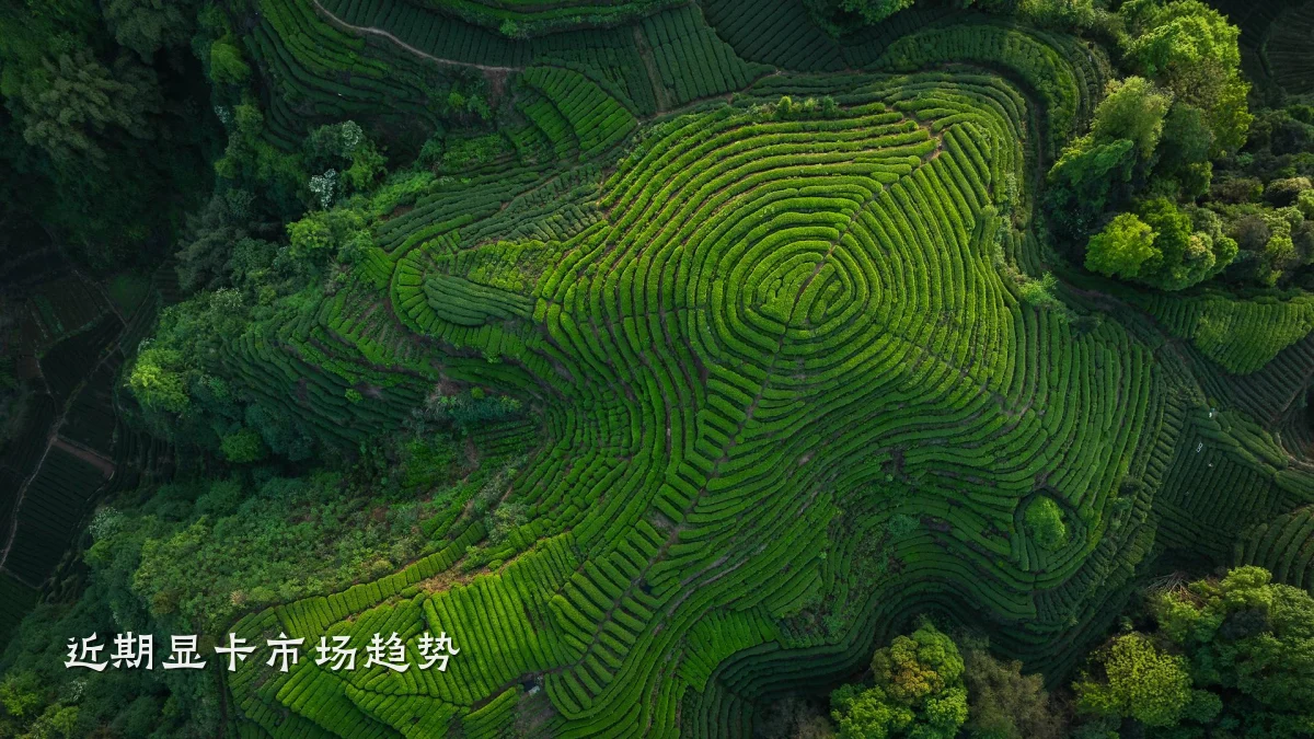 近期显卡市场趋势