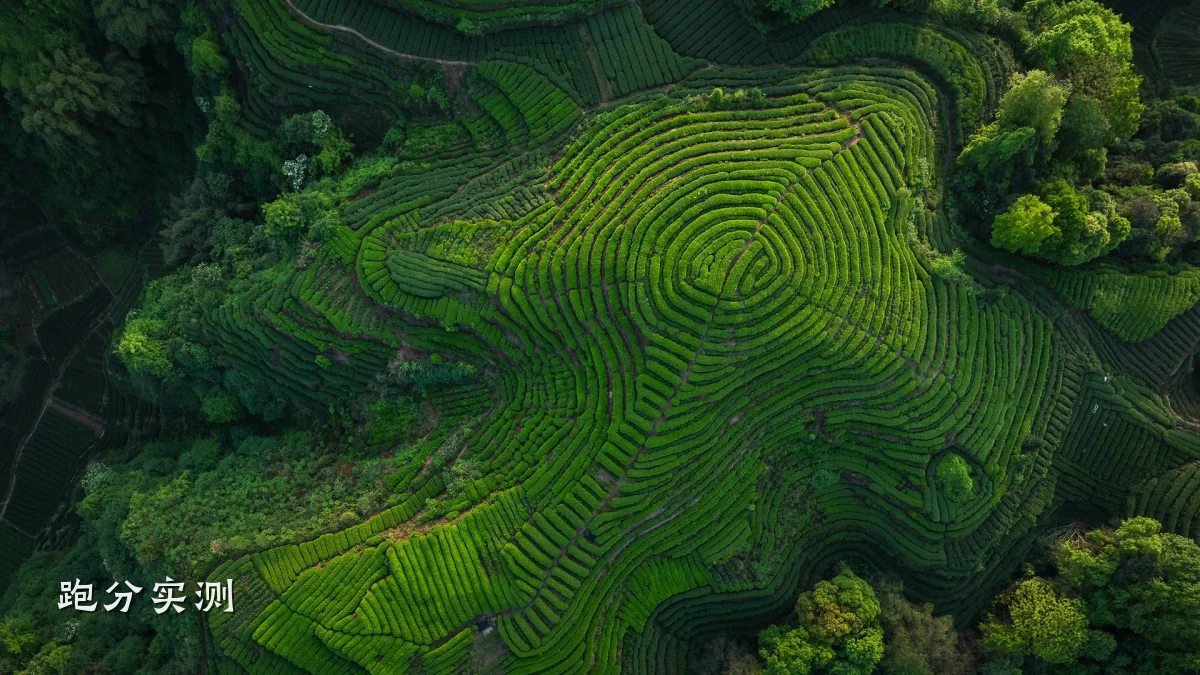 跑分实测