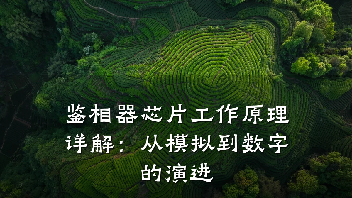 鉴相器芯片工作原理详解：从模拟到数字的演进