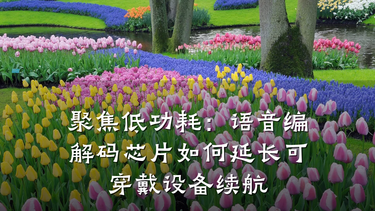 聚焦低功耗:语音编解码芯片如何延长可穿戴设备续航