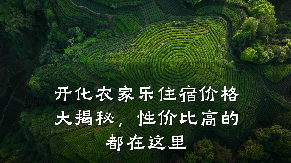 开化农家乐住宿价格大揭秘,性价比高的都在这里