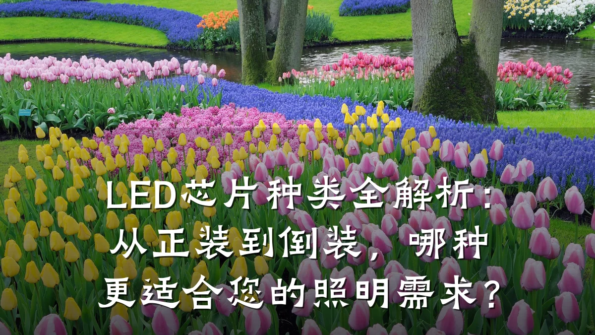 LED芯片种类全解析:从正装到倒装,哪种更适合您的照明需求?