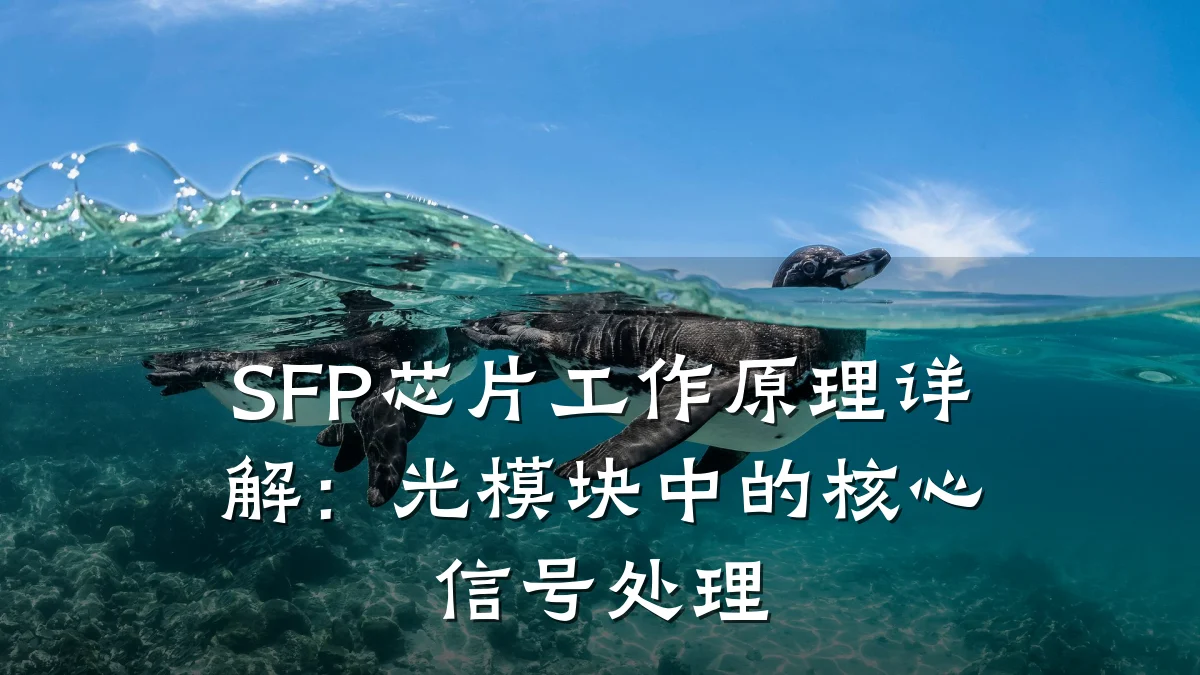 SFP芯片工作原理详解:光模块中的核心信号处理