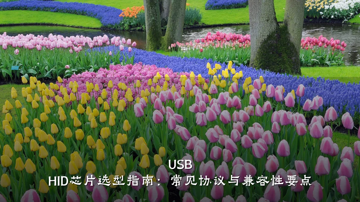 USB HID芯片选型指南:常见协议与兼容性要点