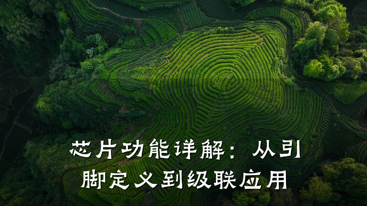 芯片功能详解:从引脚定义到级联应用