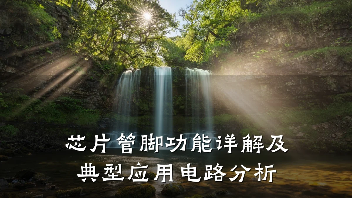 芯片管脚功能详解及典型应用电路分析
