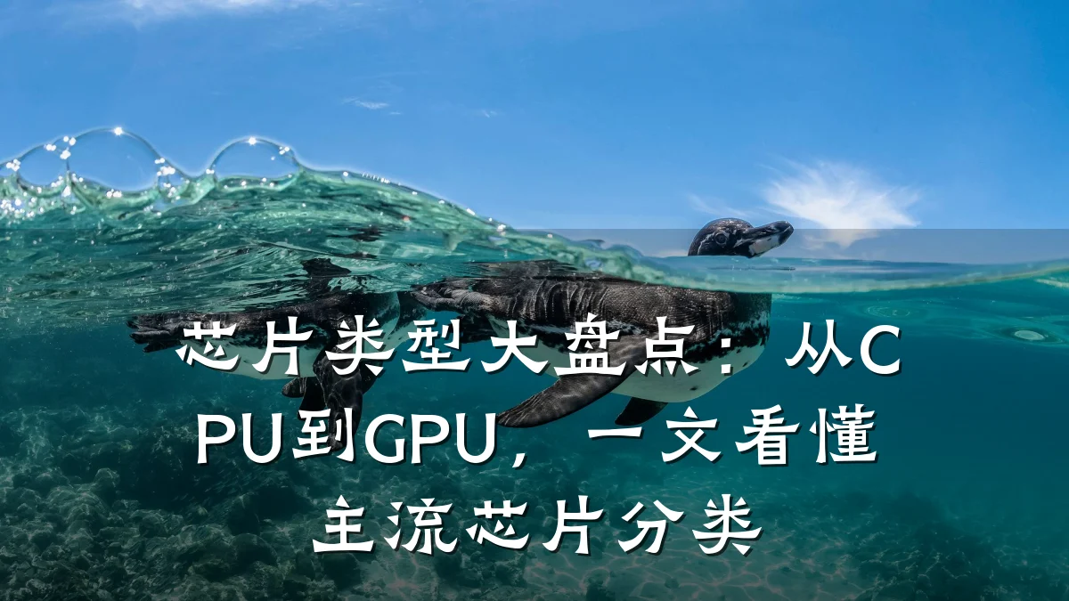芯片类型大盘点:从CPU到GPU,一文看懂主流芯片分类