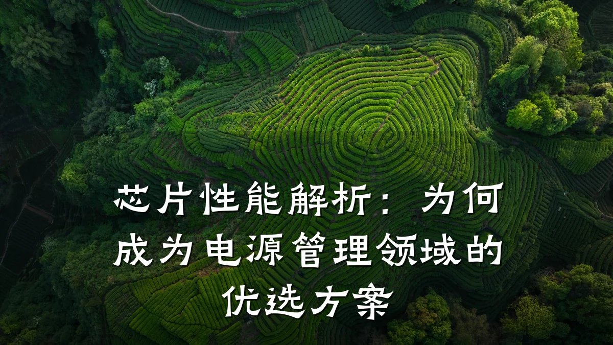 芯片性能解析:为何成为电源管理领域的优选方案