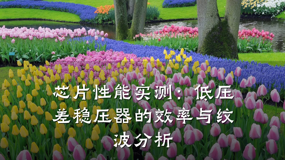 芯片性能实测:低压差稳压器的效率与纹波分析