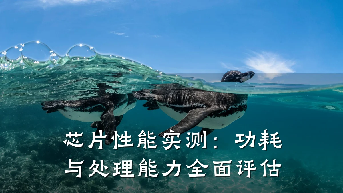 芯片性能实测:功耗与处理能力全面评估