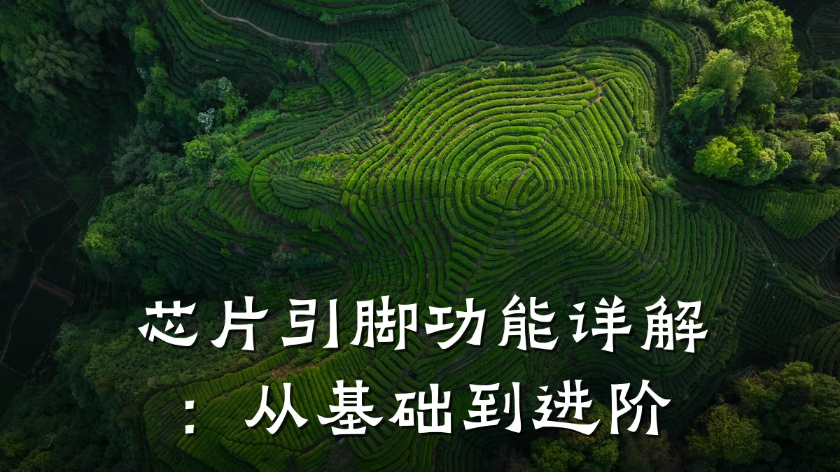 芯片引脚功能详解:从基础到进阶