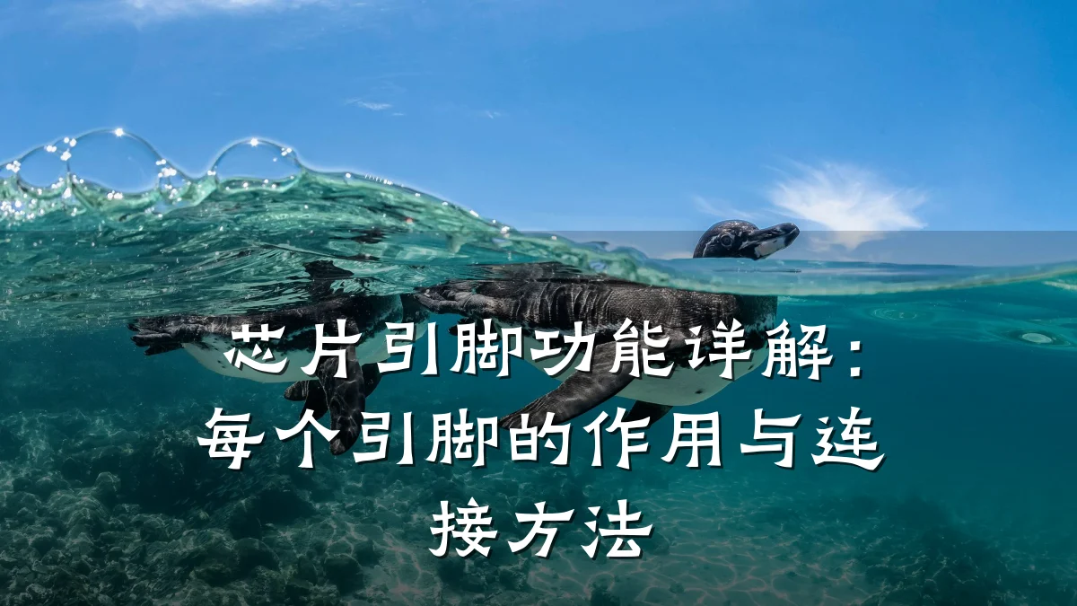 芯片引脚功能详解:每个引脚的作用与连接方法