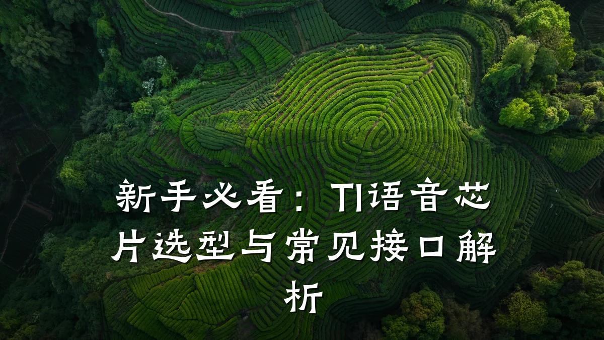 新手必看:TI语音芯片选型与常见接口解析