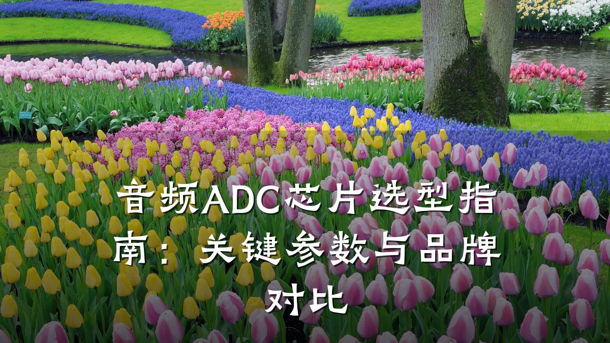 音频ADC芯片选型指南:关键参数与品牌对比