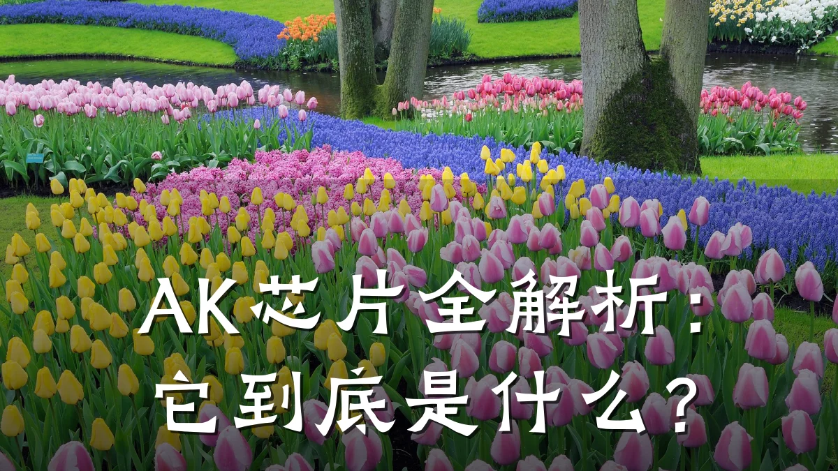 AK芯片全解析:它到底是什么?