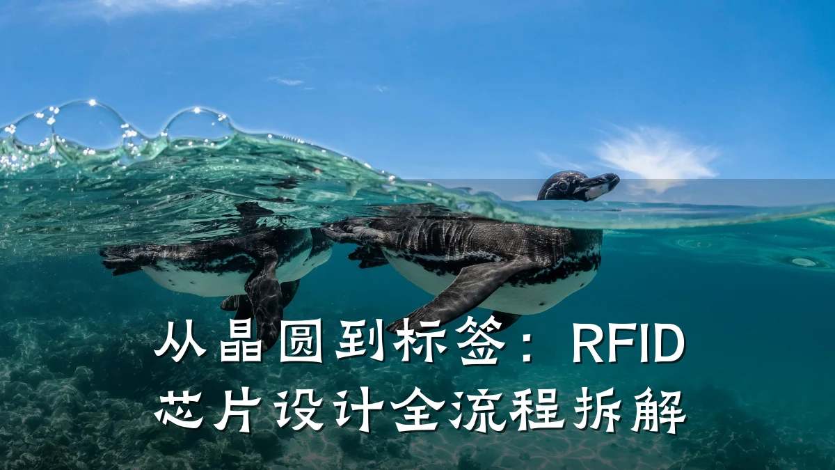 从晶圆到标签:RFID芯片设计全流程拆解
