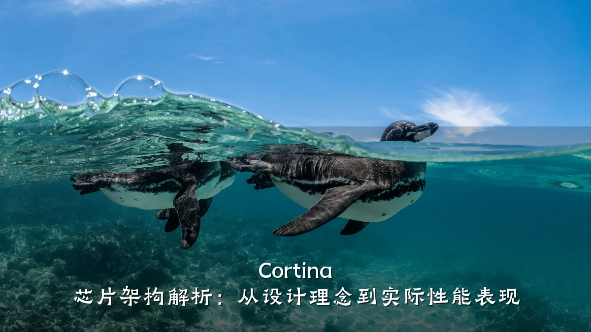 Cortina 芯片架构解析:从设计理念到实际性能表现