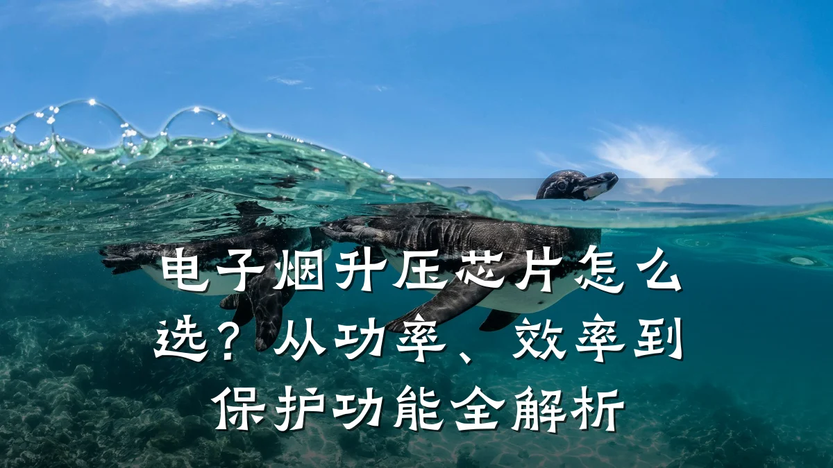 电子烟升压芯片怎么选?从功率、效率到保护功能全解析