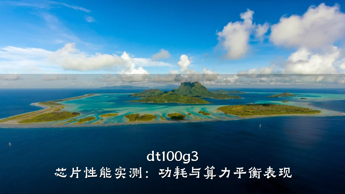 dt100g3 芯片性能实测:功耗与算力平衡表现