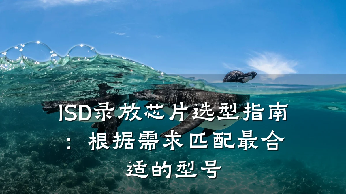 ISD录放芯片选型指南:根据需求匹配最合适的型号