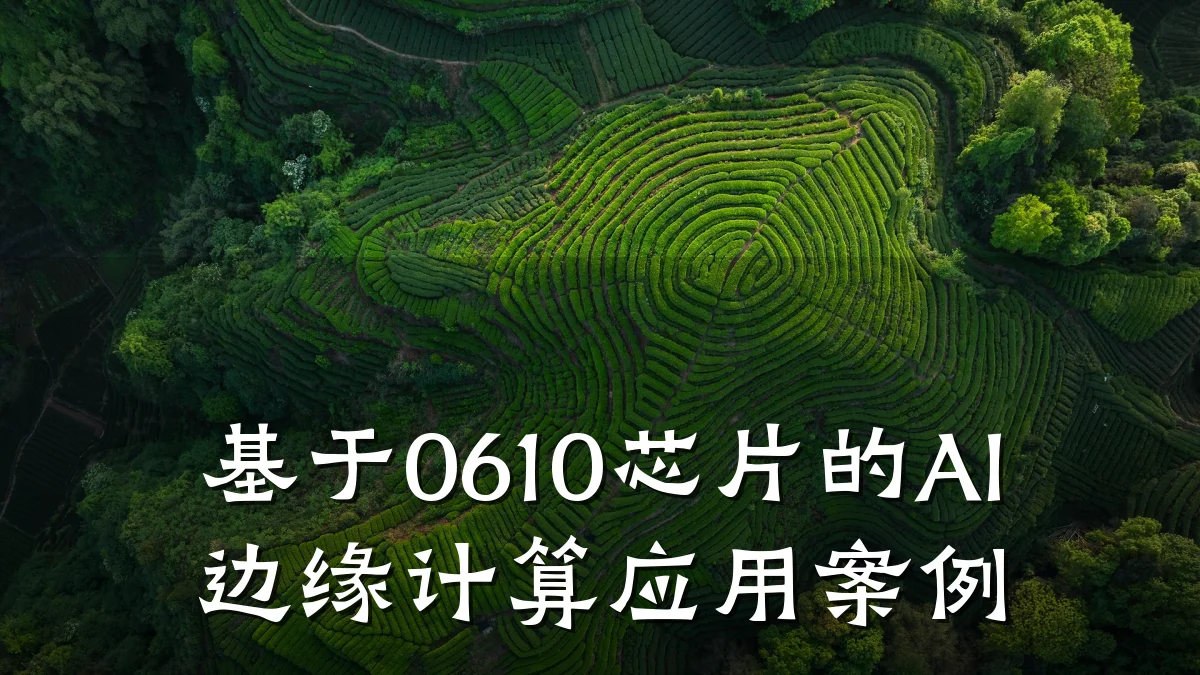 基于0610芯片的AI边缘计算应用案例