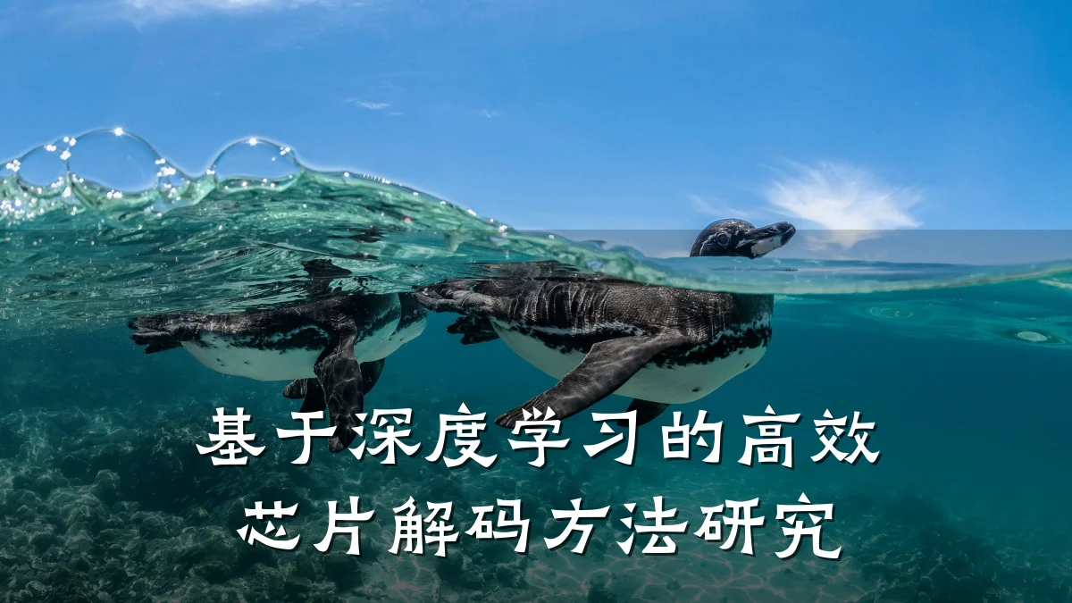 基于深度学习的高效芯片解码方法研究