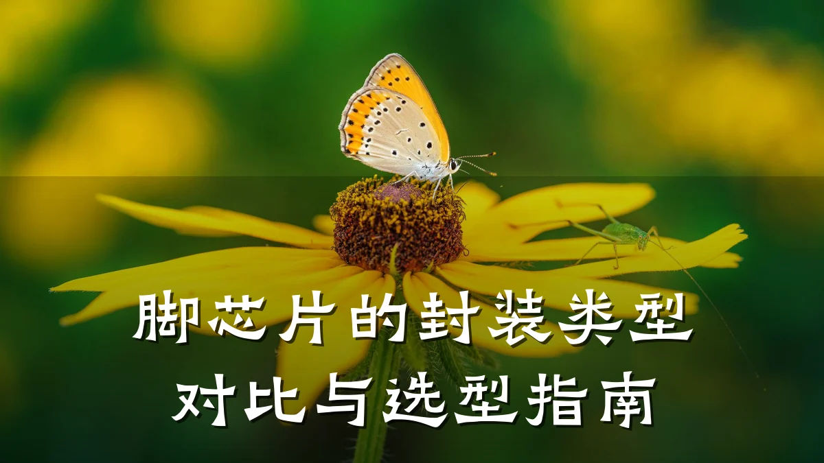 脚芯片的封装类型对比与选型指南